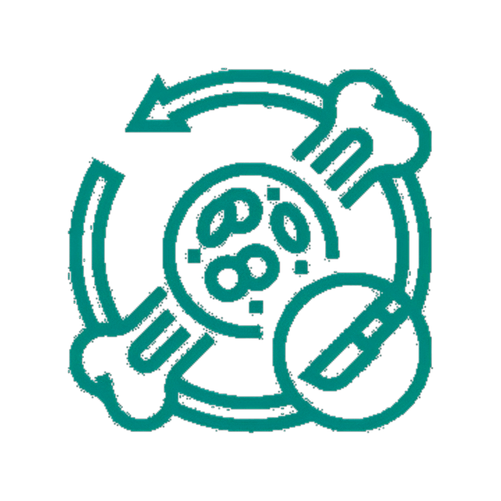 Bone Marrow Transplant