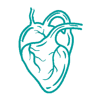 Cardiac Bypass Surgery